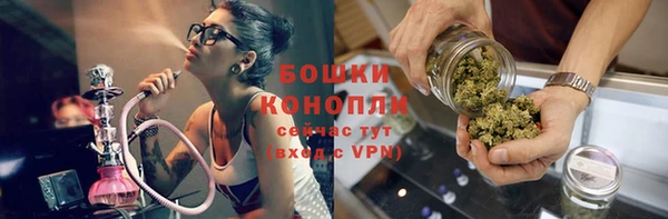 гидропоника Белокуриха