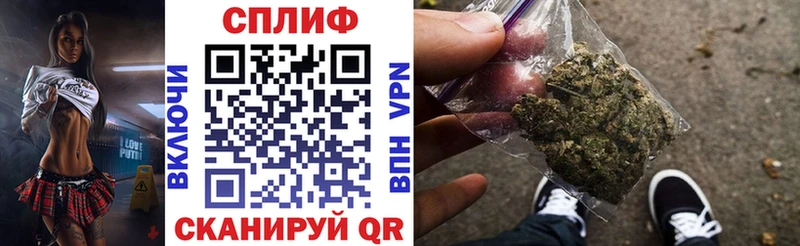 гидра   где купить наркоту  Высоковск  МАРИХУАНА сатива 
